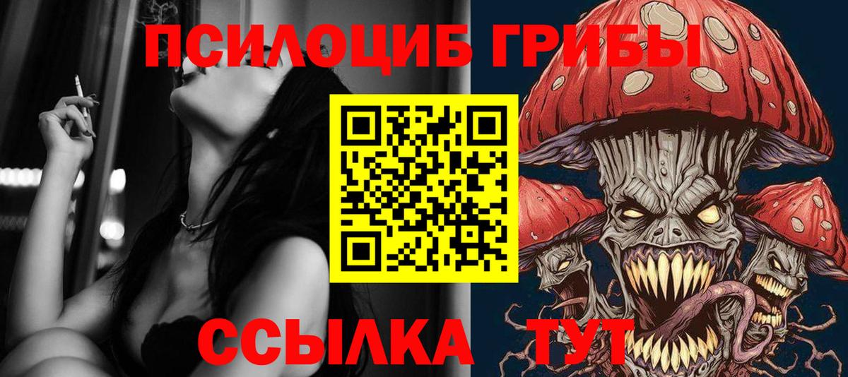 Гагарин  Псилоцибиновые грибы Psilocybe  как найти закладки  Вход с VPN 